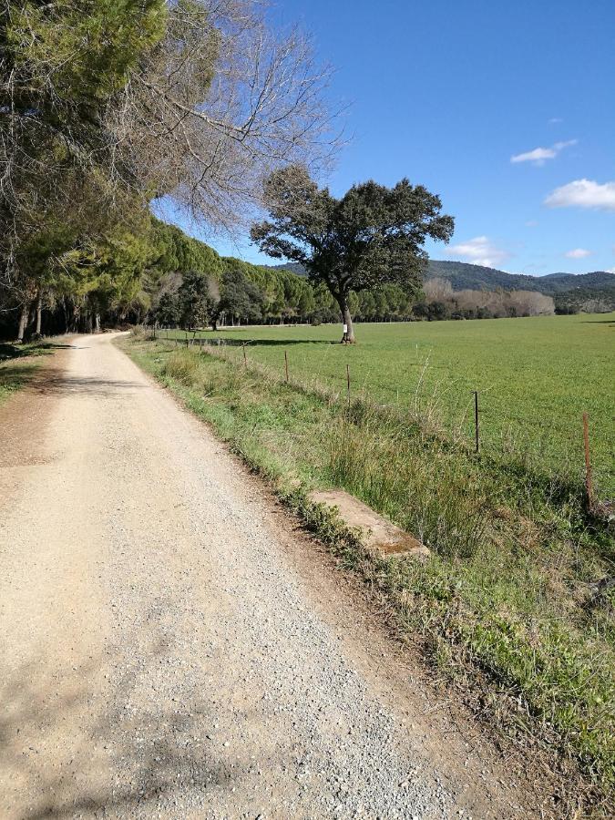 Finca Rural Labriega Del Hueznar Cazalla de la Sierra Exteriér fotografie