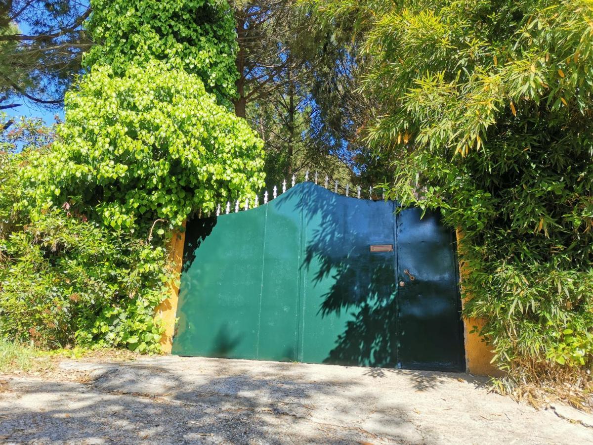 Finca Rural Labriega Del Hueznar Cazalla de la Sierra Exteriér fotografie