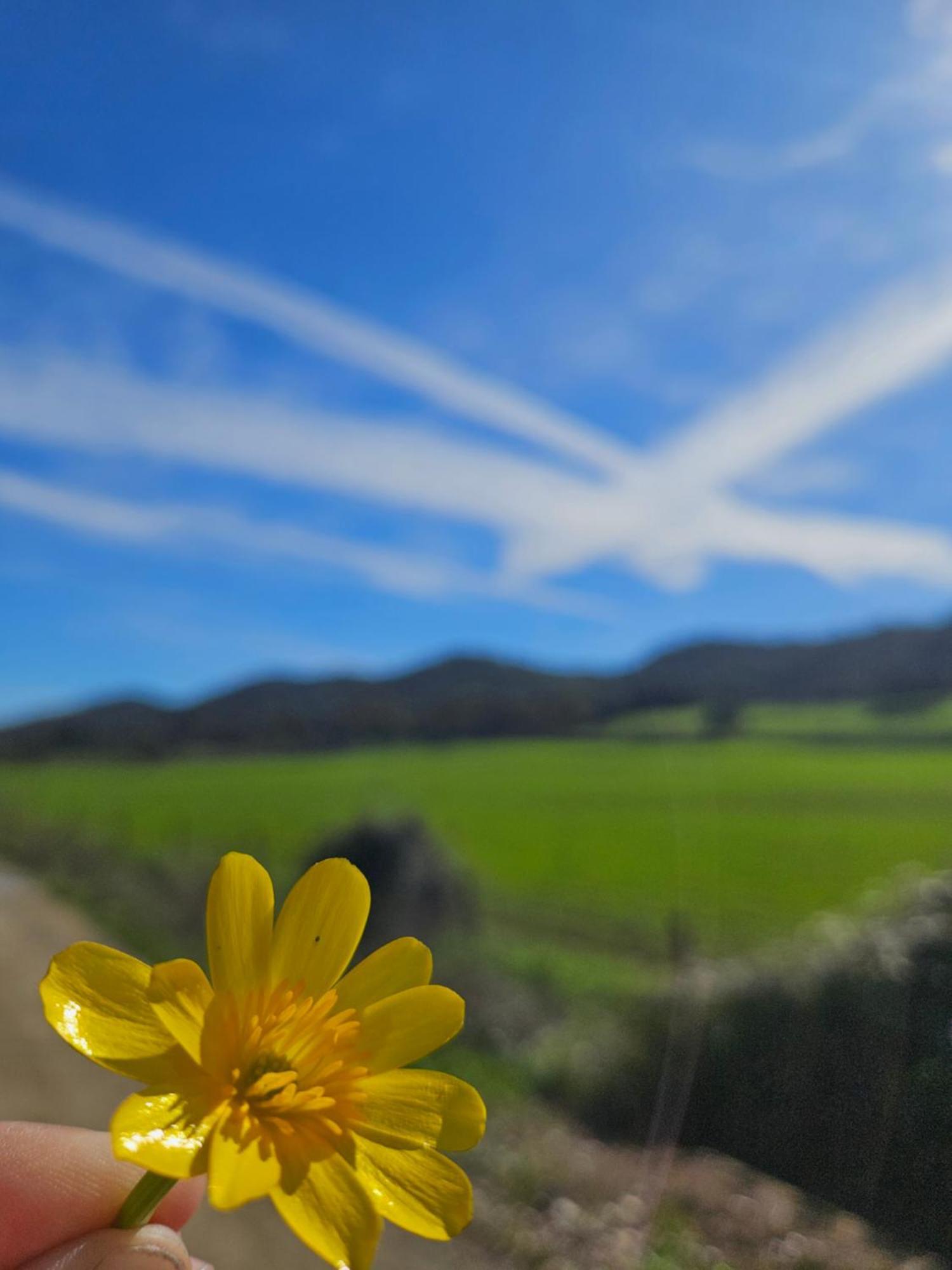 Finca Rural Labriega Del Hueznar Cazalla de la Sierra Exteriér fotografie